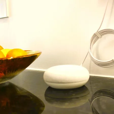 G 0.9 - G.oogle Nest Smart House * Braga